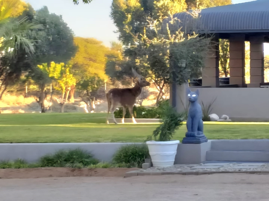 4 Bedroom Property for Sale in Kimberley Rural Northern Cape